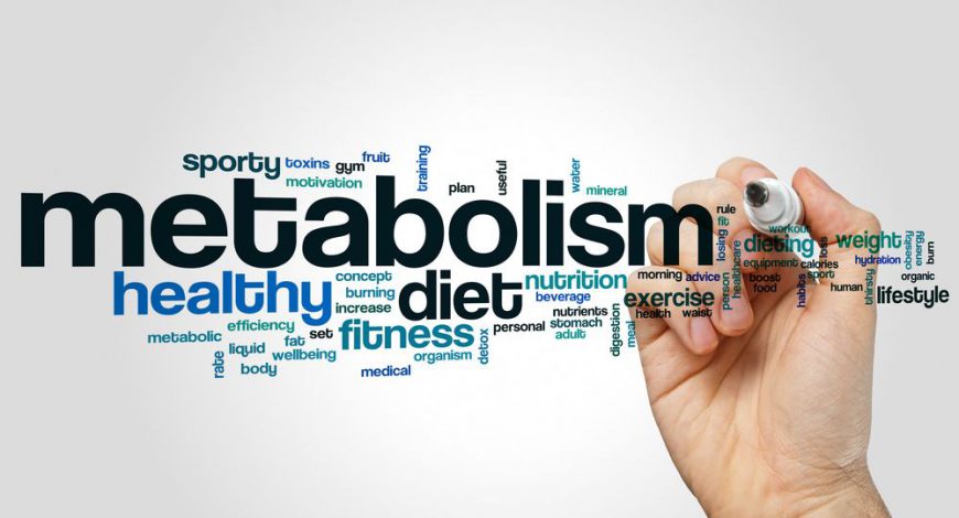 Как улучшить метаболизм в организме: продукты и ещё 11 способов для ускорения обмена веществ