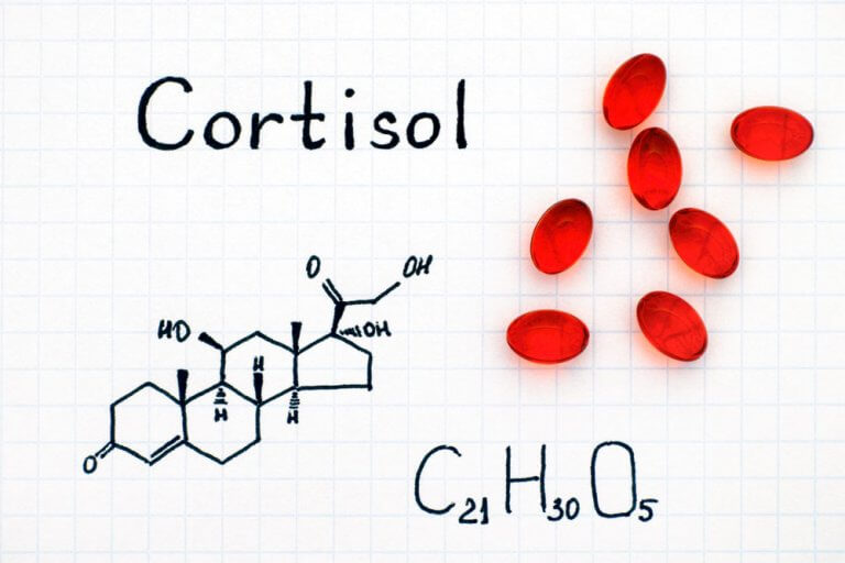 kortizol ve kalp sağlığı